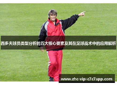 西多夫球员类型分析的五大核心要素及其在足球战术中的应用解析
