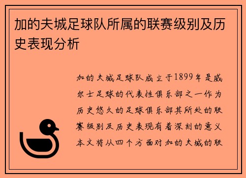 加的夫城足球队所属的联赛级别及历史表现分析