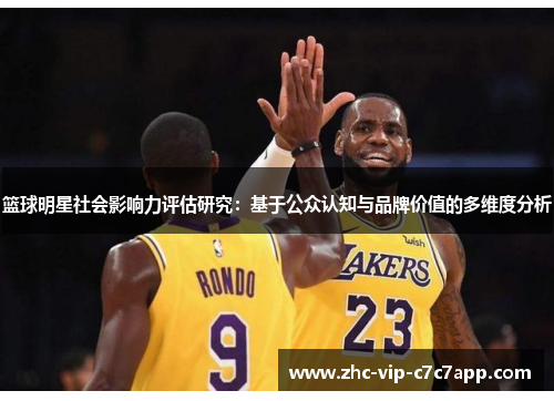 篮球明星社会影响力评估研究：基于公众认知与品牌价值的多维度分析